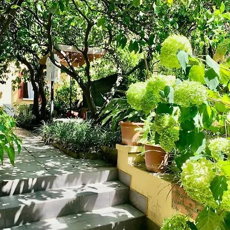 Apartment Casa Adele *